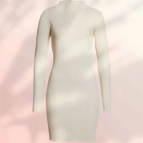 JOHN ELLIOTT GINZA RIb Long Sleeve Mock Mini Dress in Feather - Picture 6 of 15